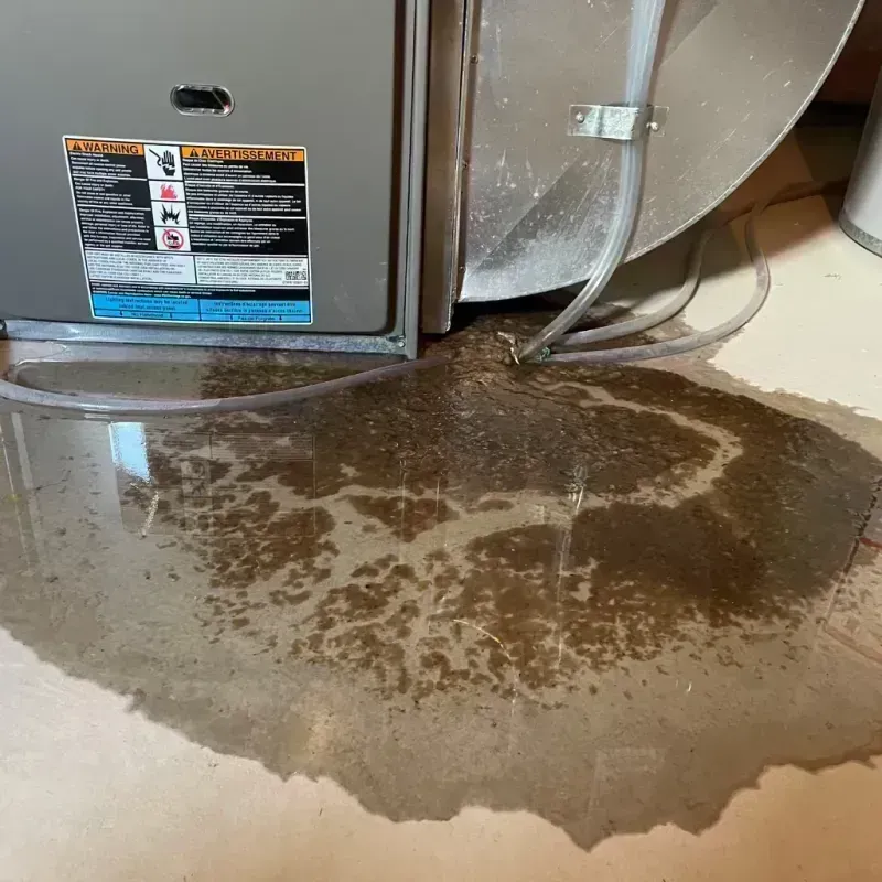 Appliance Leak Cleanup in Potosi, MO